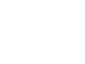 Icono